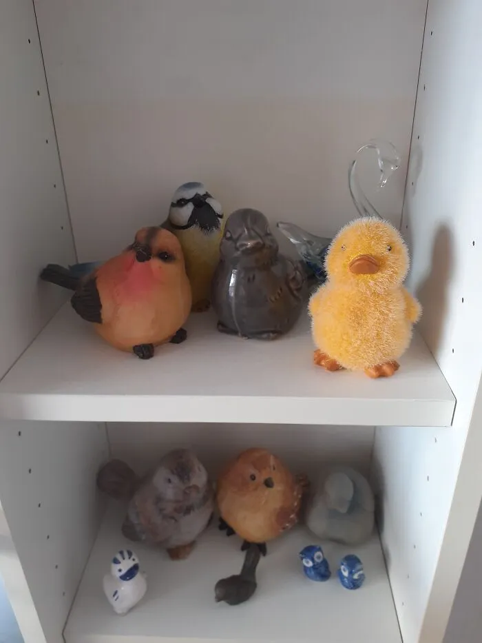 Pajaritos. Tengo más pero no caben en la foto