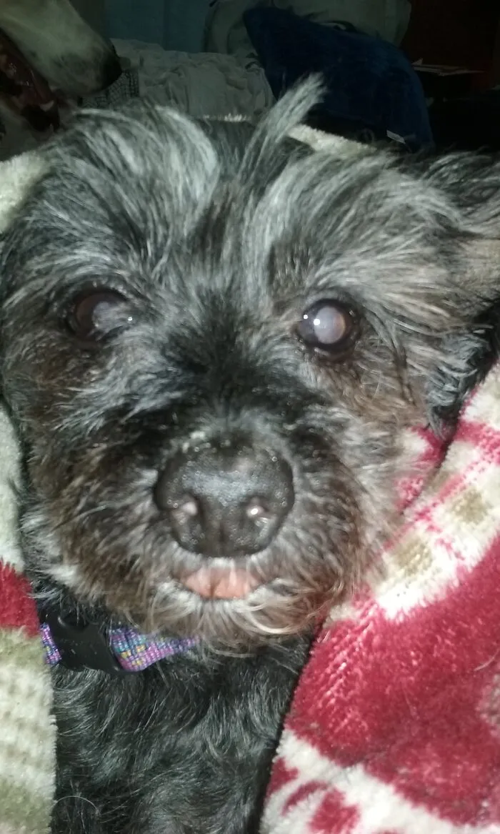 Taken One Month Before He Passed Away