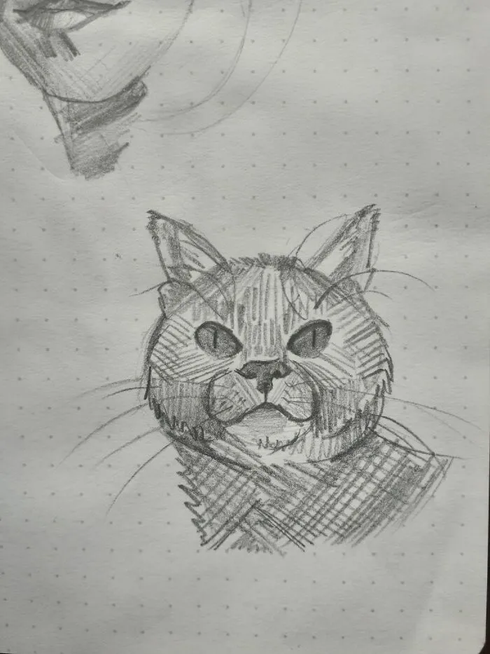 My Cat Joris :)