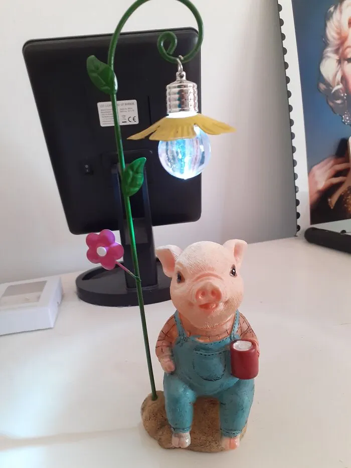 Piggy Light!