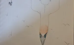 Canon Camera Misfires, So I Drew This Conclusion...