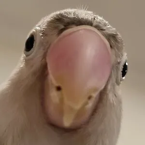I am a bord