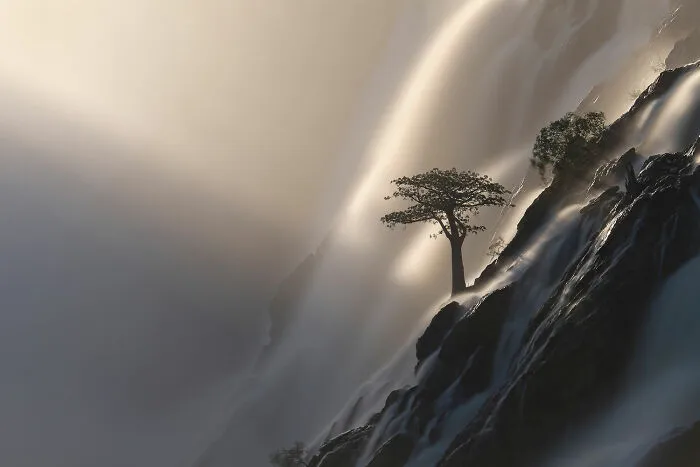 Landscapes, Waterscapes, And Flora: Finalist: 'Tree Of Life' By ‍anette Mossbacher, Ruacana Falls, Namibia