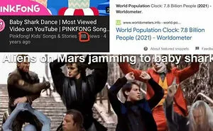 40 Times People Missed The Joke So Bad, They Embarrassed Themselves (New Pics)