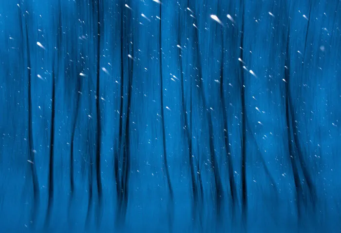 Art Of Nature, Finalist: 'Little Comets' By Alexey Korolyov, Kremyonki, Russia