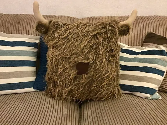Obviously Everyone Needs A Hellie Cow Cushion