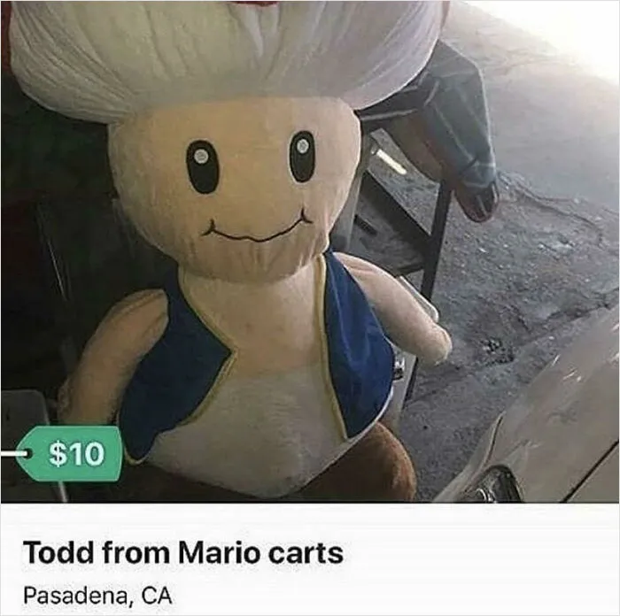 Todd