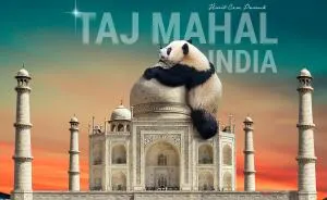 I Make Surreal Photo Manipulations Of Famous Landmarks And Animals