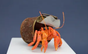 I've Created These Animal Sculptures To Show The Consequences Of Ocean Pollution