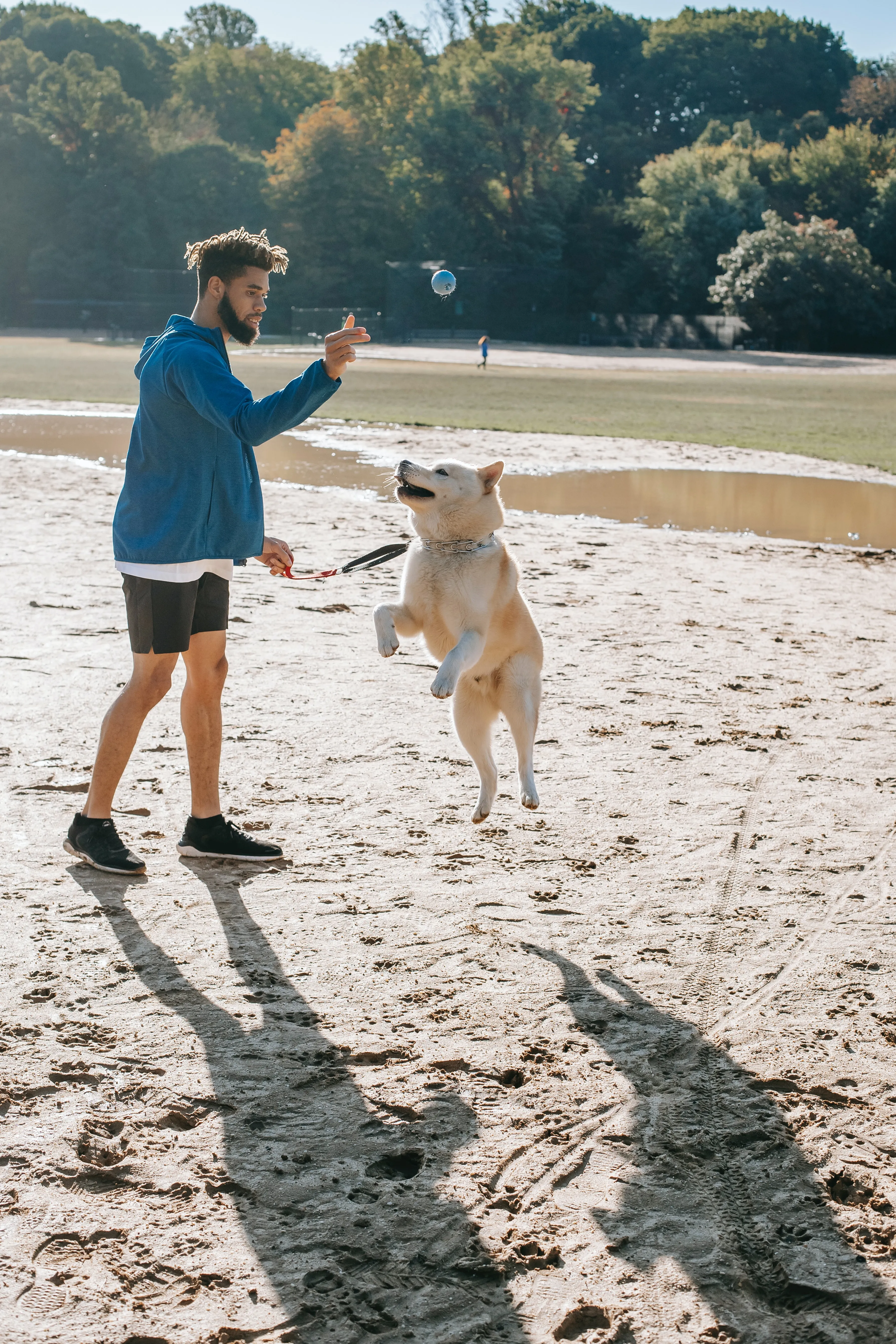 Does A Dog's Mind Change The Same Way It Does In Humans?