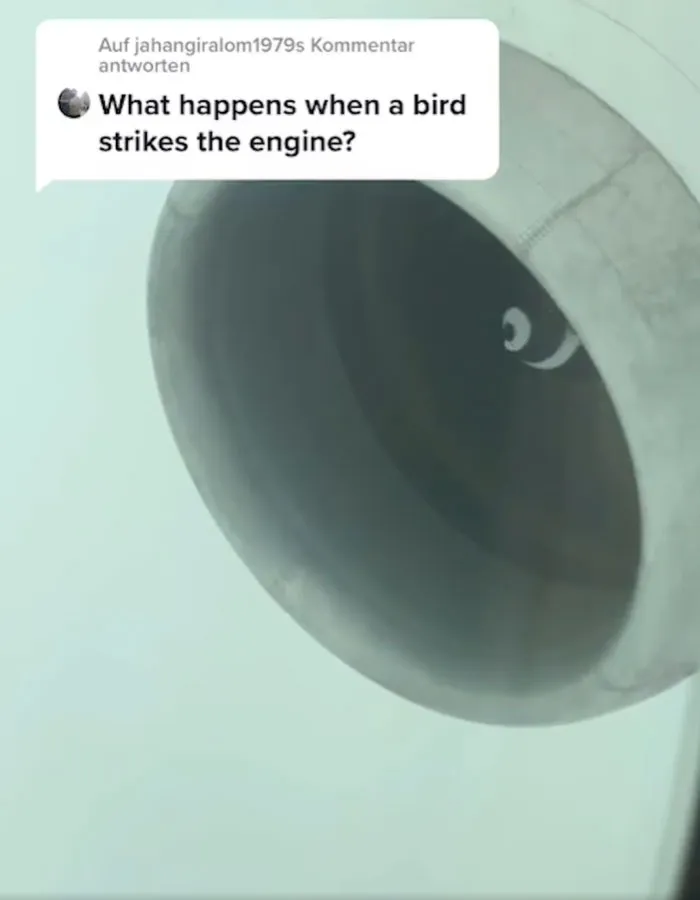 Twin-Pilots-Answers-Plane-Questions
