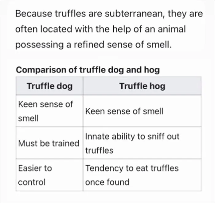 Very Important Chart!!!in The Streets, In The Sheets, Etc.