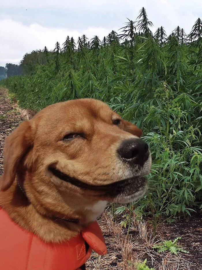 Hmmm