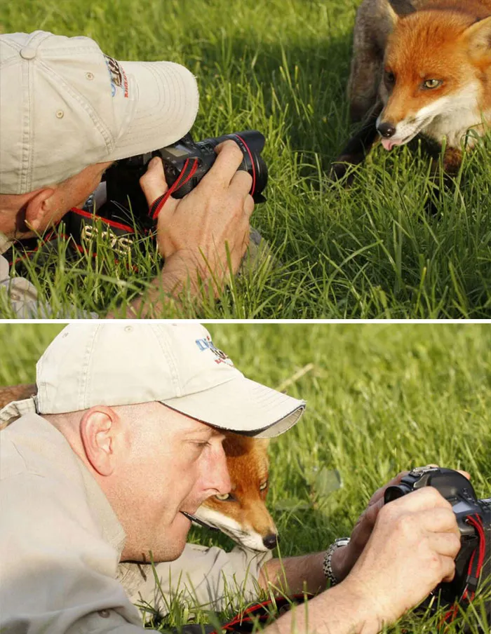 50 Weird Animal Photos That “Cannot Be Explained”