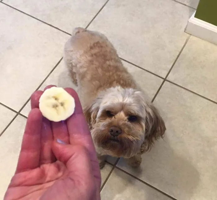 50 Weird Animal Photos That “Cannot Be Explained”