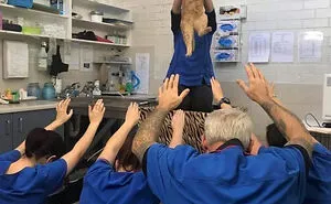 50 Weird Animal Photos That “Cannot Be Explained”