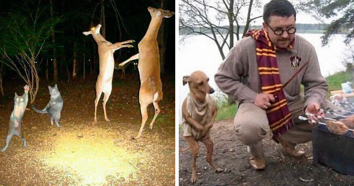 50 Fotos extrañas de animales que “no tienen explicación”
