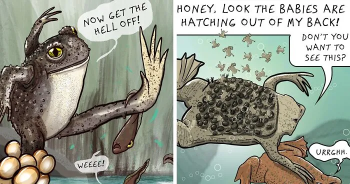 I Made These 20 Comics About The Weirdest Dads In The Animal Kingdom For Father's Day