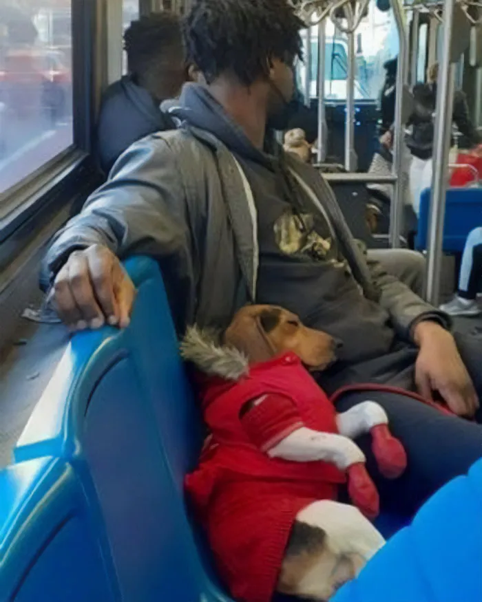 You Ever Just Be Sitting There And The Dude Next To You Falls Asleep On You?