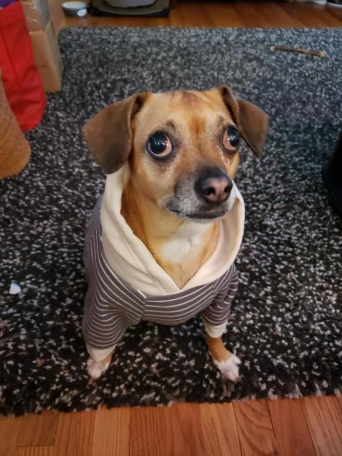 His Name Is Murdock After The Comic Book Character Daredevil As He Is A Blind Daredevil Himself.