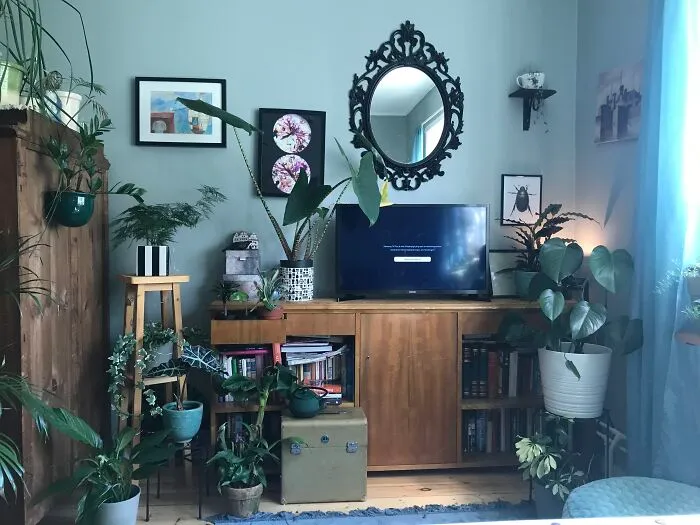 My Livingroom ... I Like Plants