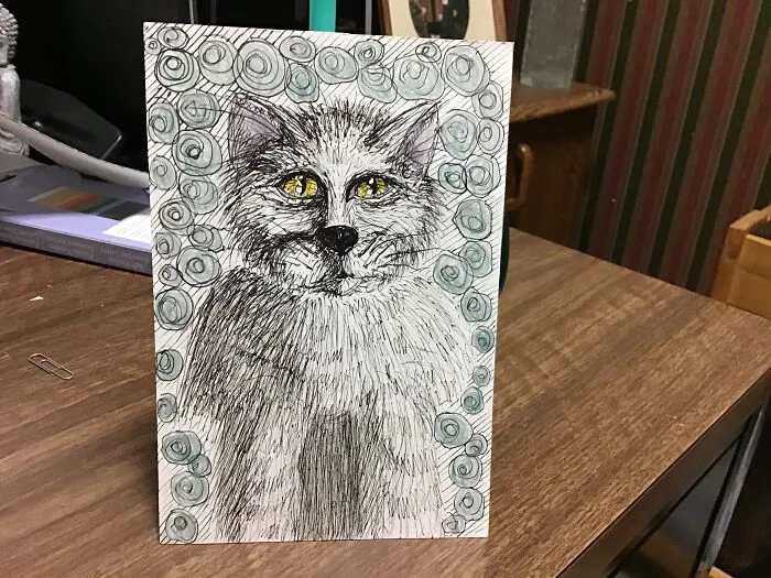 Weird Cat
