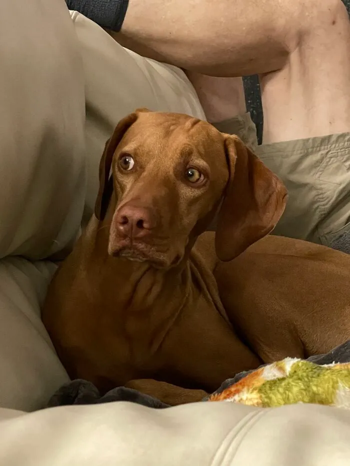 She’s The Master Of A Side-Eye
