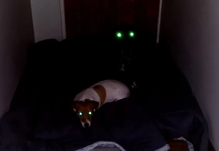 It's Behind Me, Isn't It?