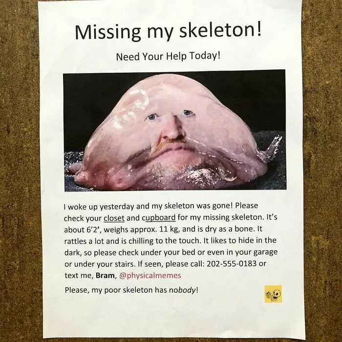 These Guys Won’t Stop Trolling Their Neighborhood With Fake Posters, And Here's 30 Of The Funniest Ones