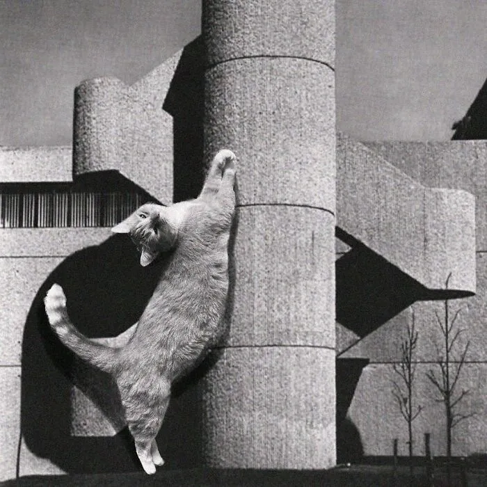 Endo Pharmaceuticals Building; Paul Rudolph, 1962 - 1964, Garden City, Long Island, United States