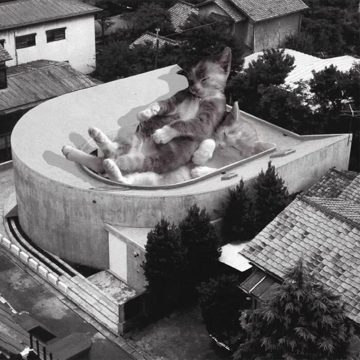 U-House; Toyo Itob, 1977 D. 1988, Tokyo, Japan
