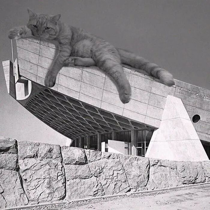 Kagawa Prefectural Gymnasium; Kenzo Tange, 1962 - 1964, Takamatsu, Japan