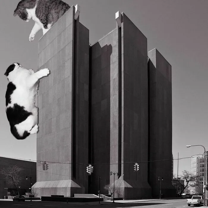 Buffalo City Court; Pfohl, Roberts And Biggie, 1974, Buffalo, New York