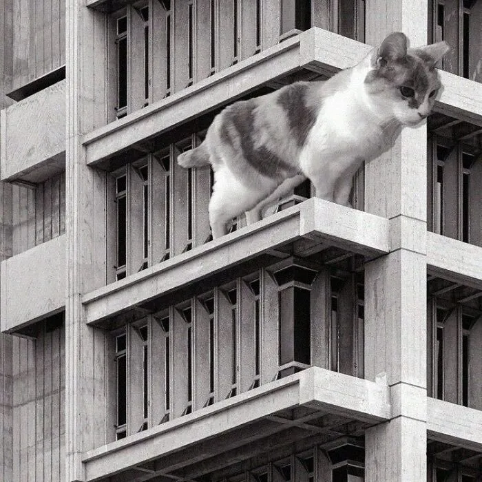 Netsch University Hall, UIC; Walter Netsch, 1964, Chicago, Illinois
