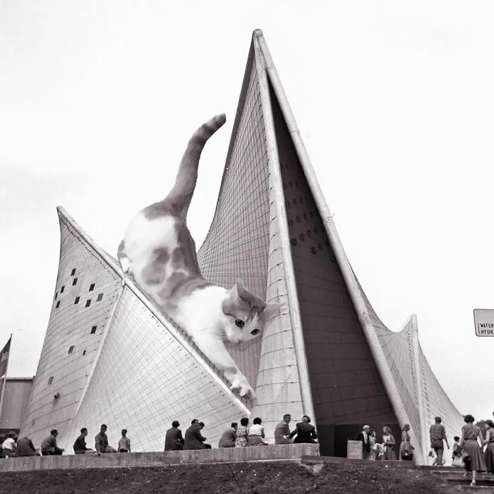 Philips Pavilion; Iannis Xenakis/ Le Corbusier Firm, B.1958 D.1959, Brussels, Belgium