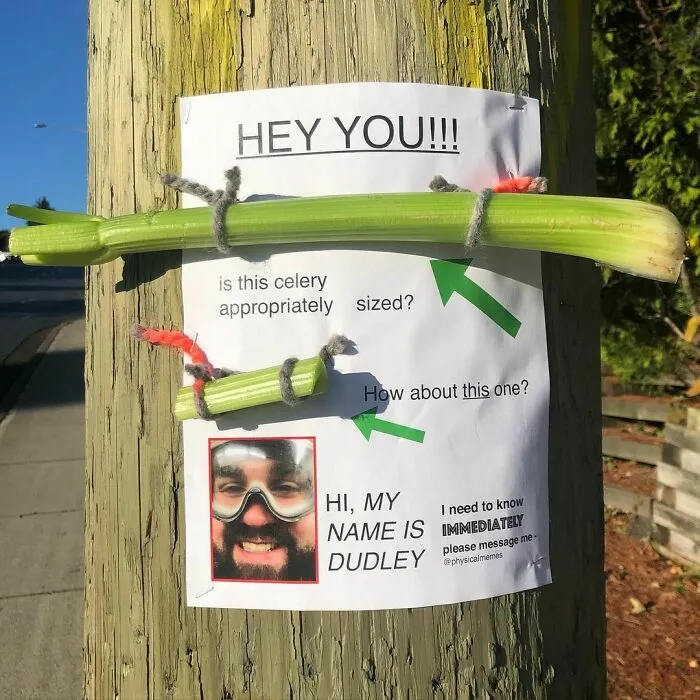 These Guys Won’t Stop Trolling Their Neighborhood With Fake Posters, And Here's 30 Of The Funniest Ones