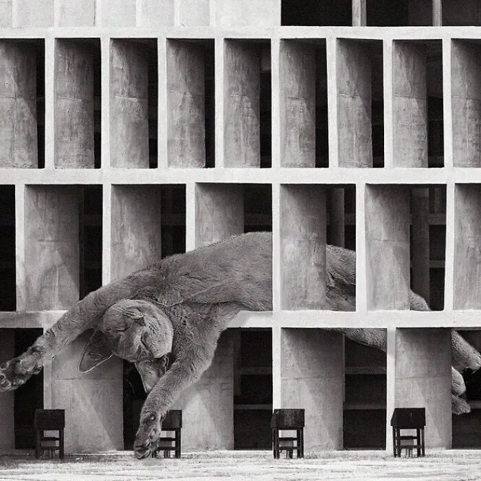 Tower Of Shadows; Le Corbusier, 1952, Chandigarh, India