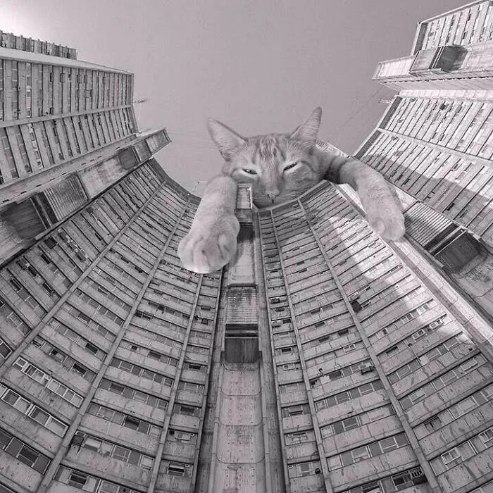 Torre Dorrego; Luis T. Caffarini, Alfredo Joselevich, & Alberto Ricur, 1968 - 1970, Buenos Aires, Argentina