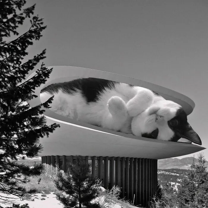 Deaton Sculptured House; Charles Deaton,  1963, Genesee, Colorado