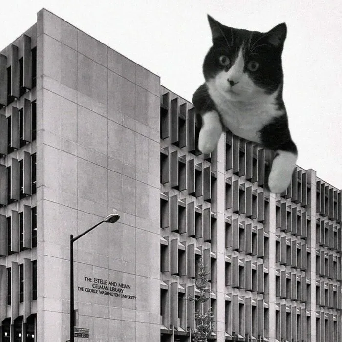 Gelman Library; Cox Graae + Spack Architects, 1971 - 1973 (Renovated 2013), George Washington University, Washington D.C.