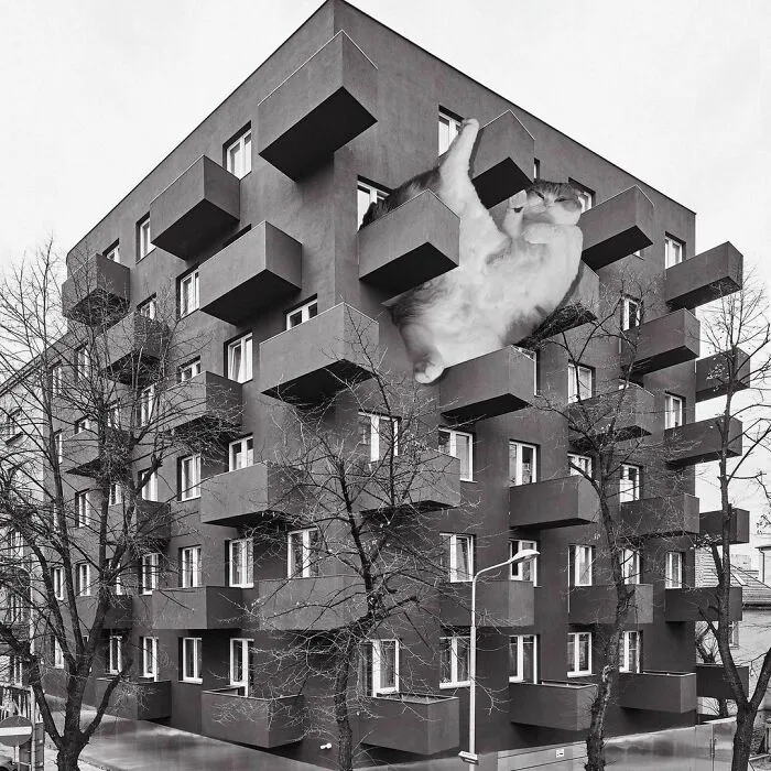 Unikato; Kwk Promes, 2018, Katowice, Poland