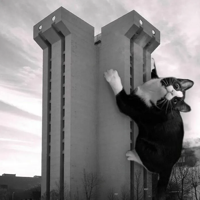 Crosley Tower, University At Cincinnati; A.M. Kinney Associates, 1969, Cincinnati, Ohio