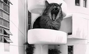 Instagram Account Combines Brutalist Architecture With Giant Cats And The Result Is Adorable (87 Pics)