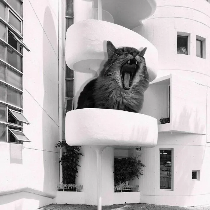 Dr Seo's Women's Clinic Building (Atrium Office Building); Chung-Up Kim, 1967, Seoul, Korea