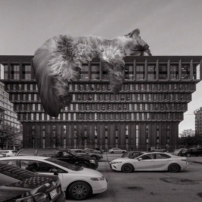 Former Sears Office Building; Maxwell Miller, 1971, Toronto, Canada