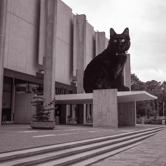 Samuel L. Paley Library, Temple University; Nolen & Swinburne, 1965, Philadelphia, Pennsylvania