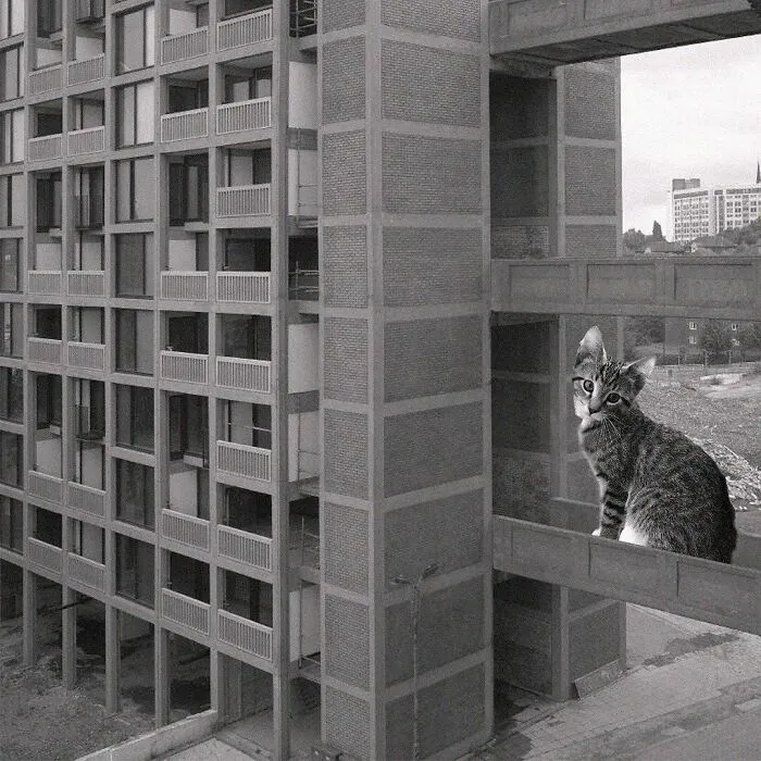Park Hill; Jack Lynn & Ivor Smith, 1961, Sheffield, England