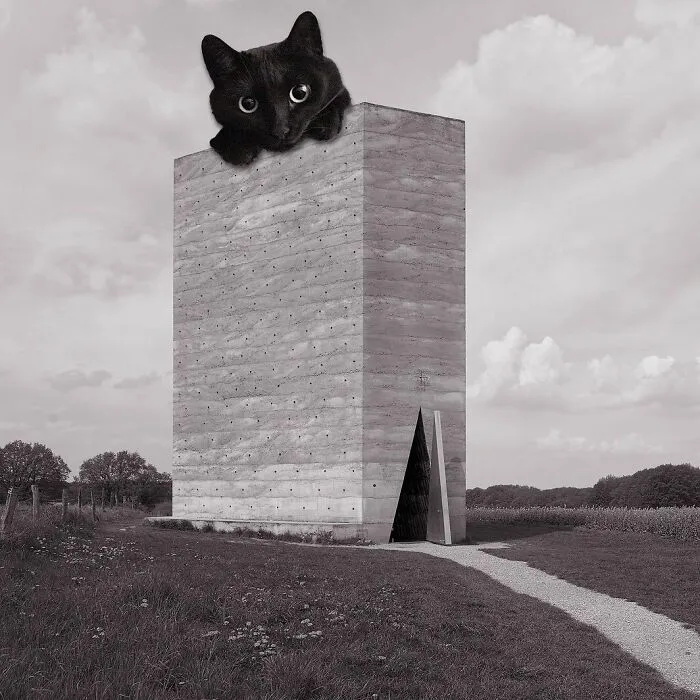Bruder-Klaus Field Chapel; Peter Zumthor, 2007, Mechernich, Germany
