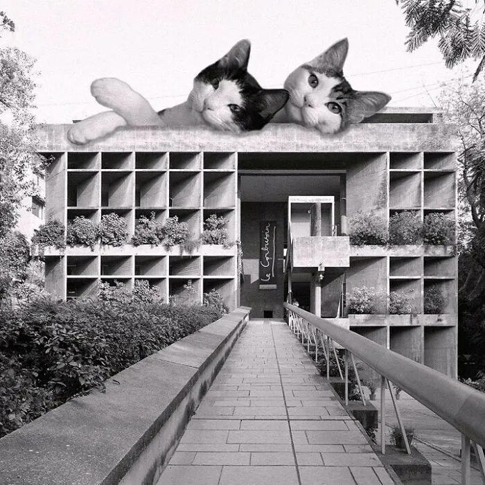 Mill Owners' Association Building; Le Corbusier, 1954, Ahmedabad, India