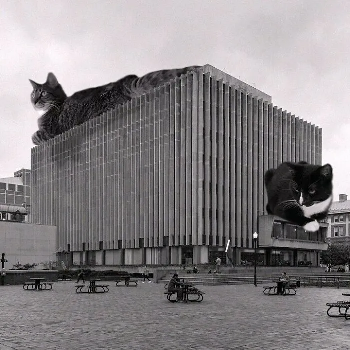 Jerome L. Greene Hall, Columbia University; Harrison & Abramovitz, 1961, New York, New York